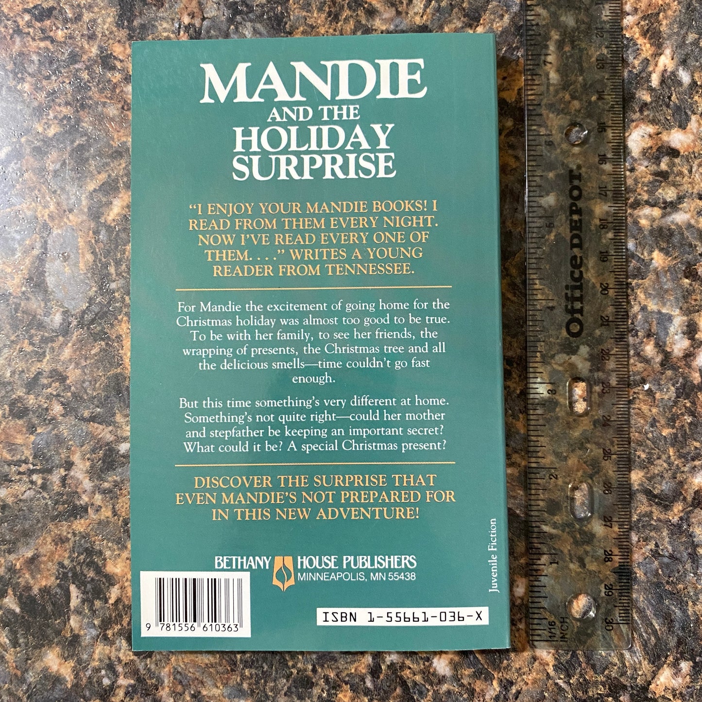 Mandie and the Holiday Surprise