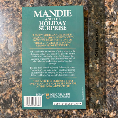 Mandie and the Holiday Surprise