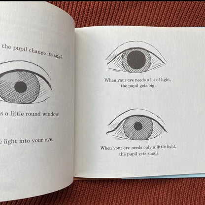 Let's-Read-And-Find-Out Science Book: Look at Your Eyes