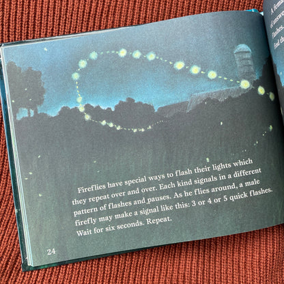 Let's-Read-And-Find-Out Science Book: Fireflies in the Night