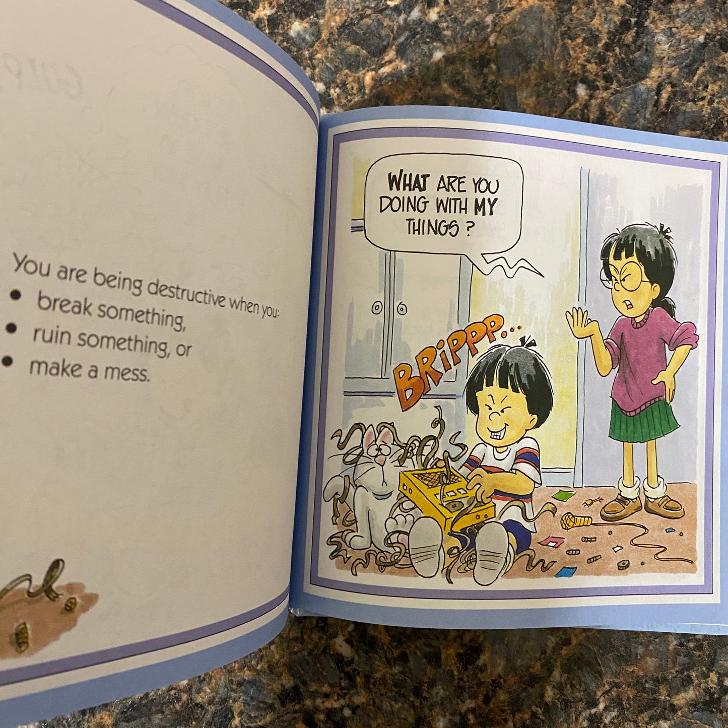 A Children's Book About BEING DESTRUCTIVE