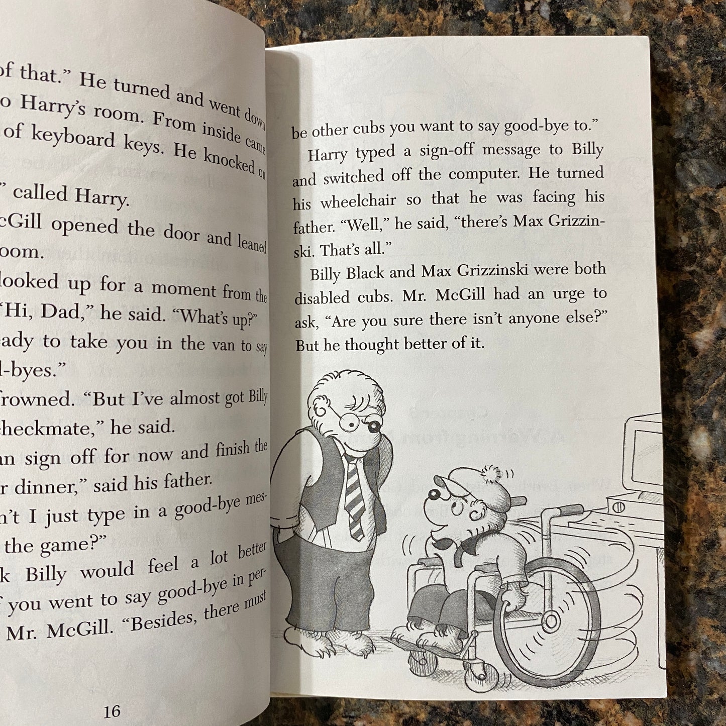 The Berenstain Bears and the Wheelchair Commando