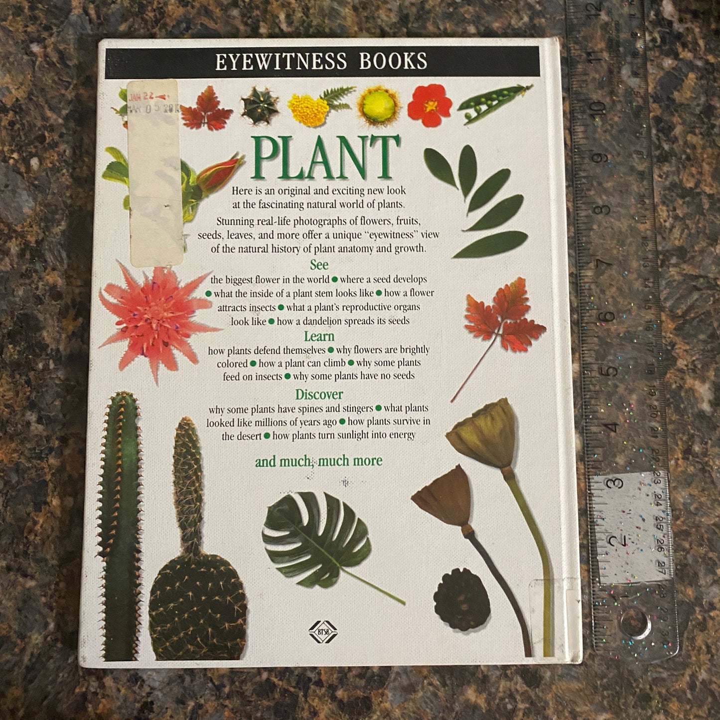 Eyewitness Books: Plant