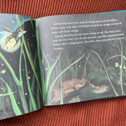 Let's-Read-And-Find-Out Science Book: Fireflies in the Night