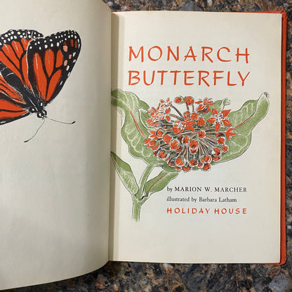 Monarch Butterfly