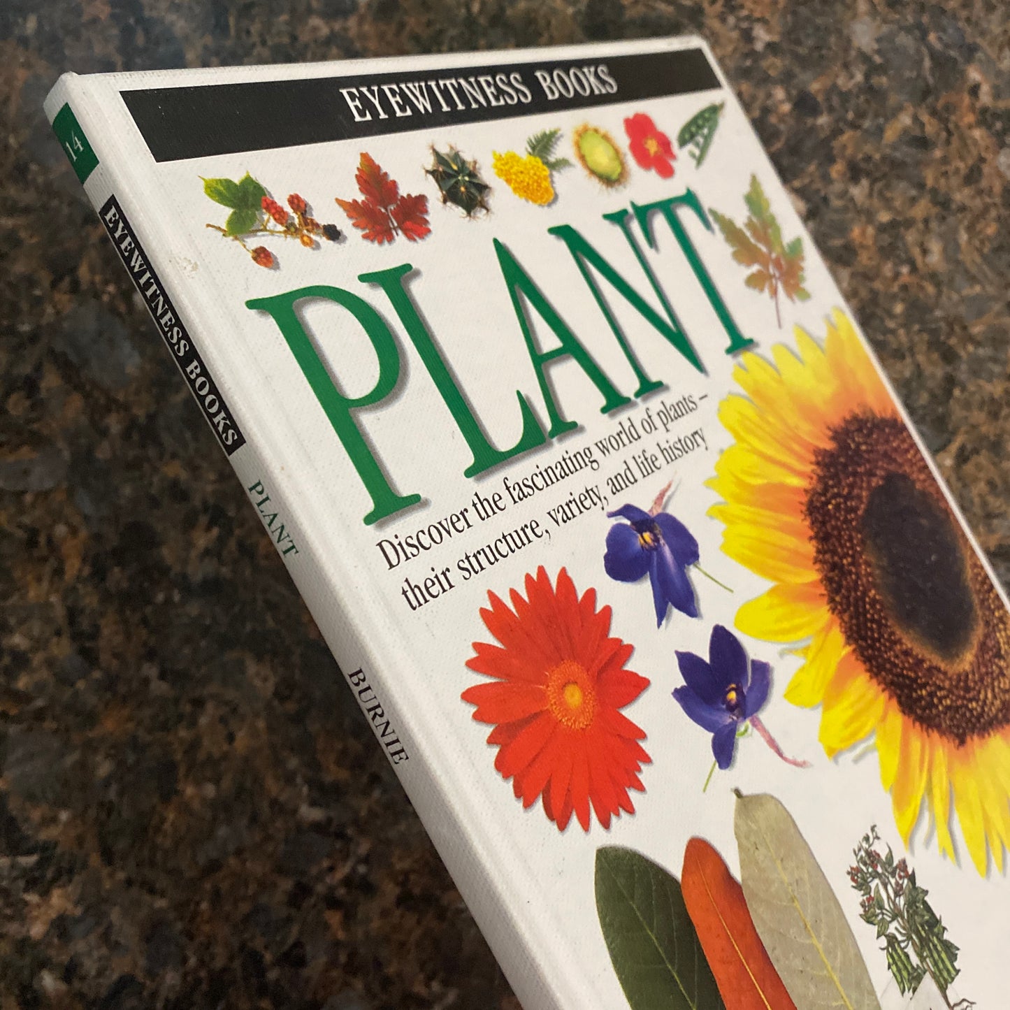 Eyewitness Books: Plant