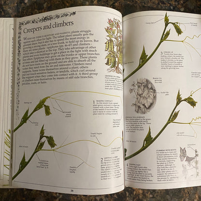 Eyewitness Books: Plant