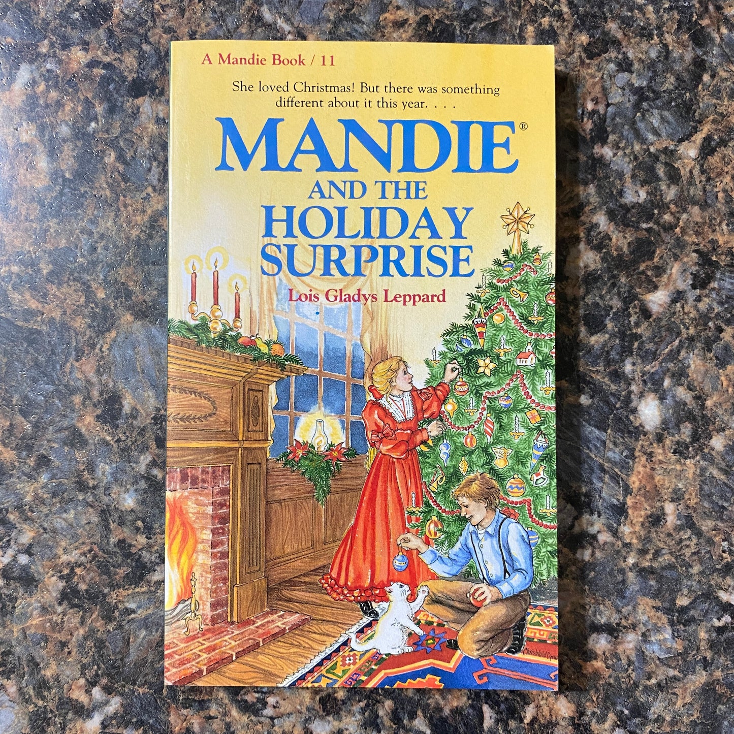 Mandie and the Holiday Surprise