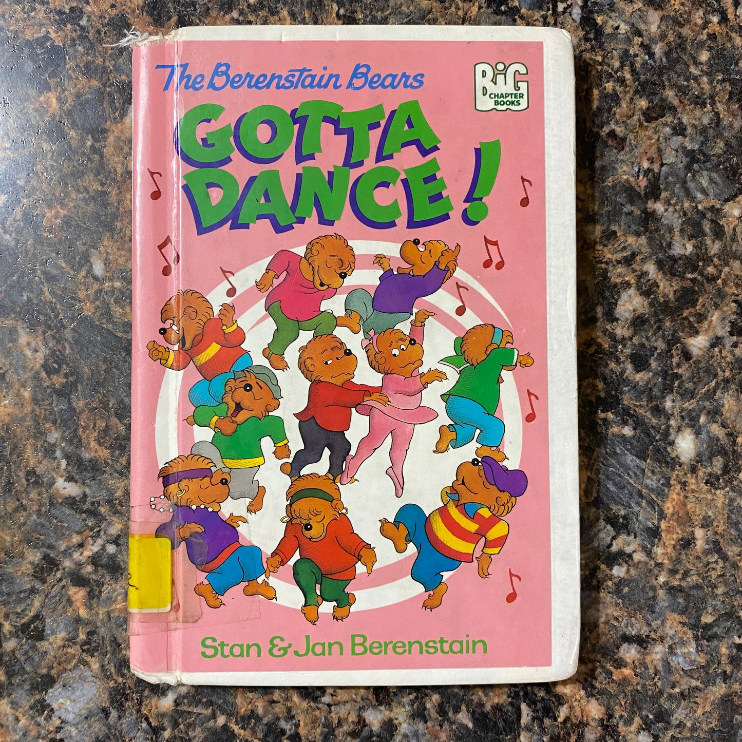 The Berenstain Bears Gotta Dance!