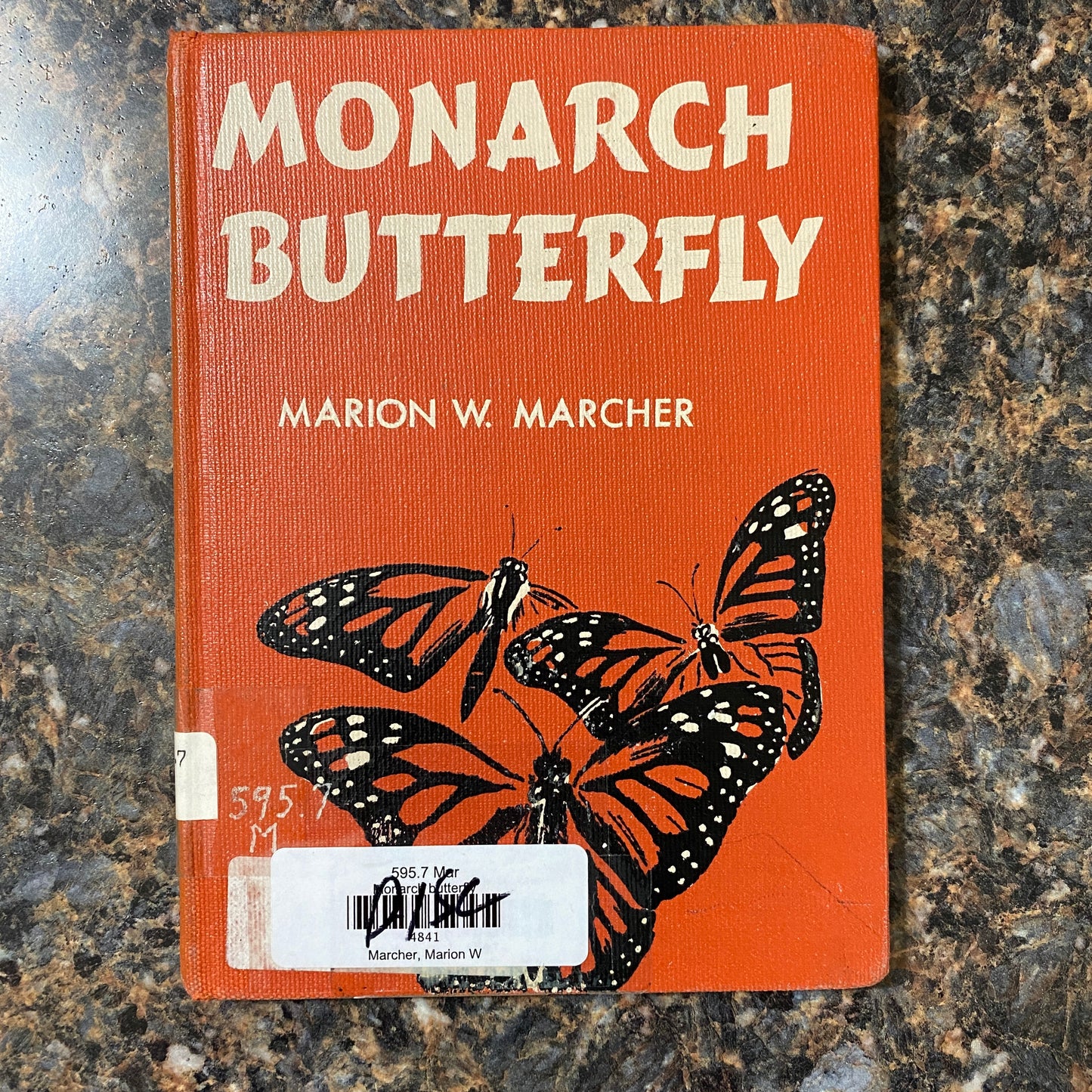 Monarch Butterfly