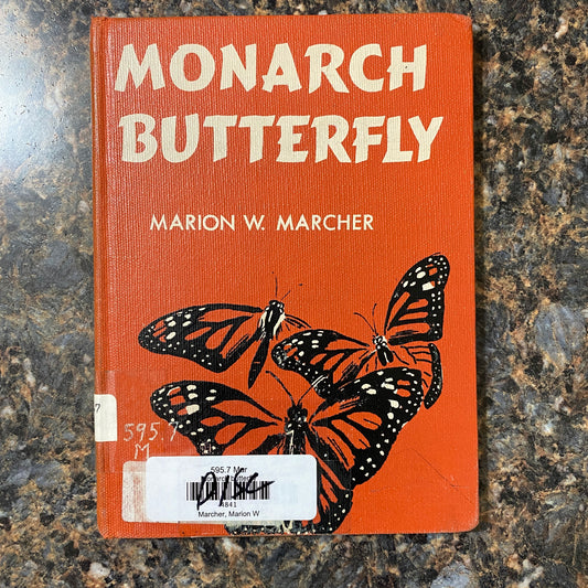 Monarch Butterfly