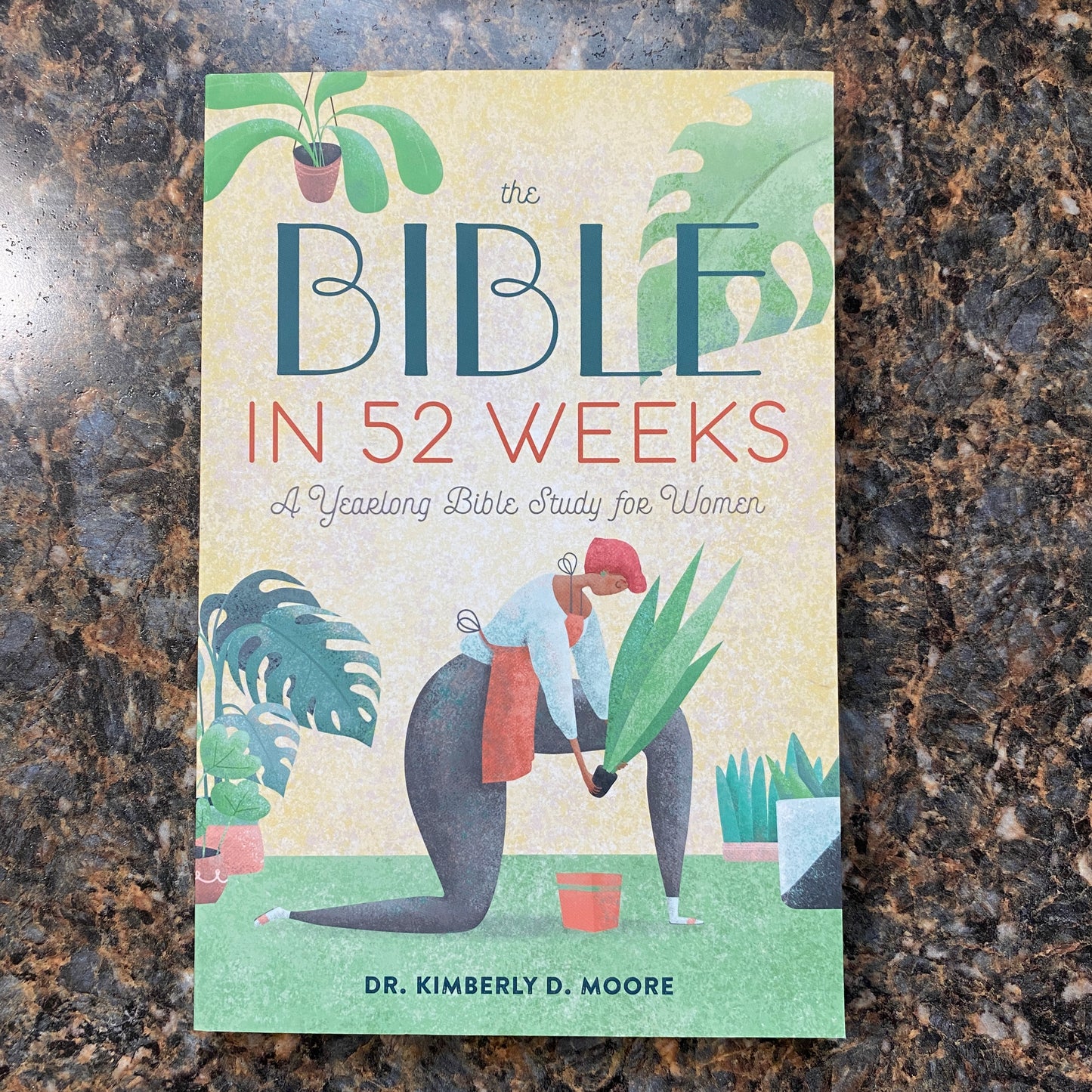 The Bible In 52 Weeks - A Yearlong Bible Study for Women