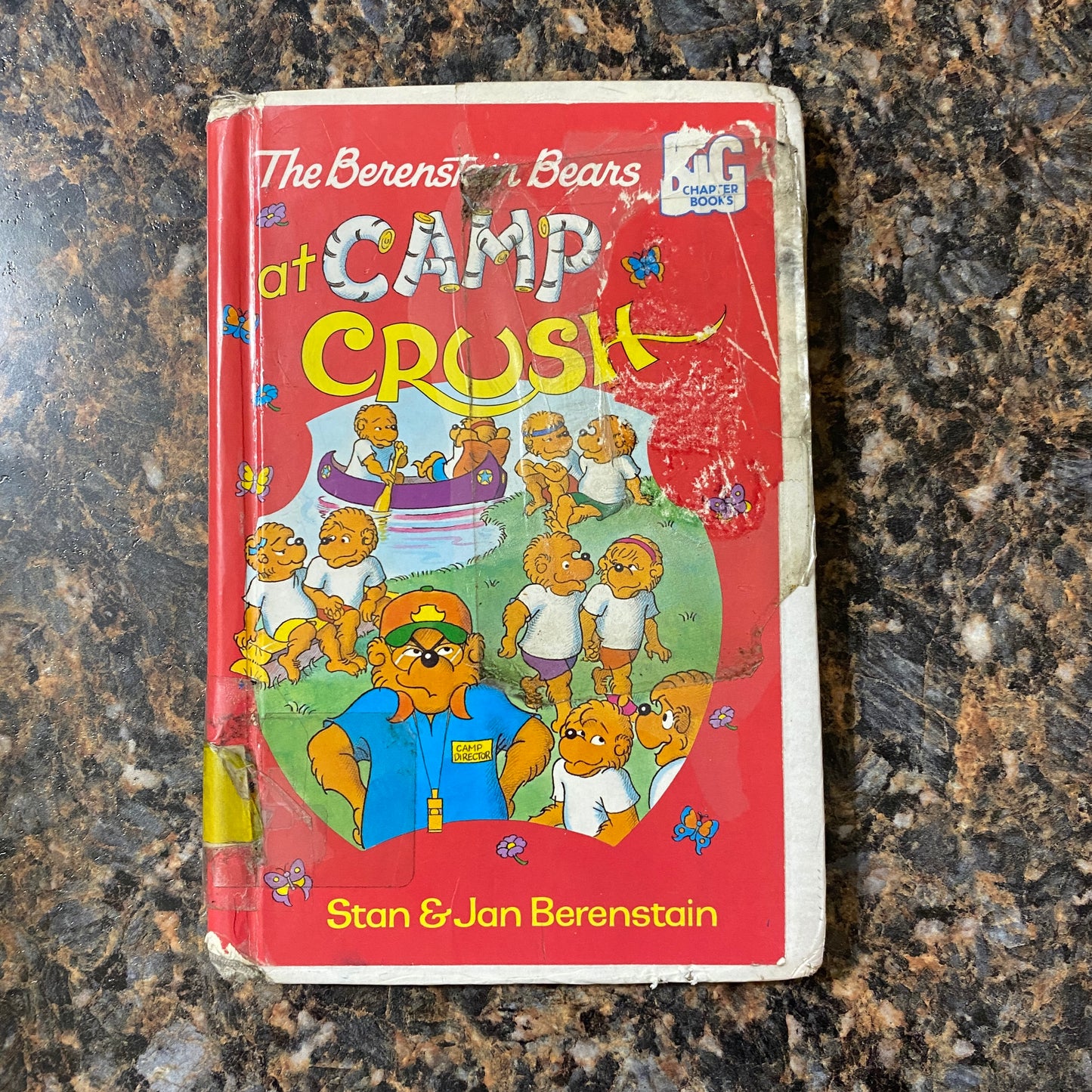 The Berenstain Bears at Camp Crush