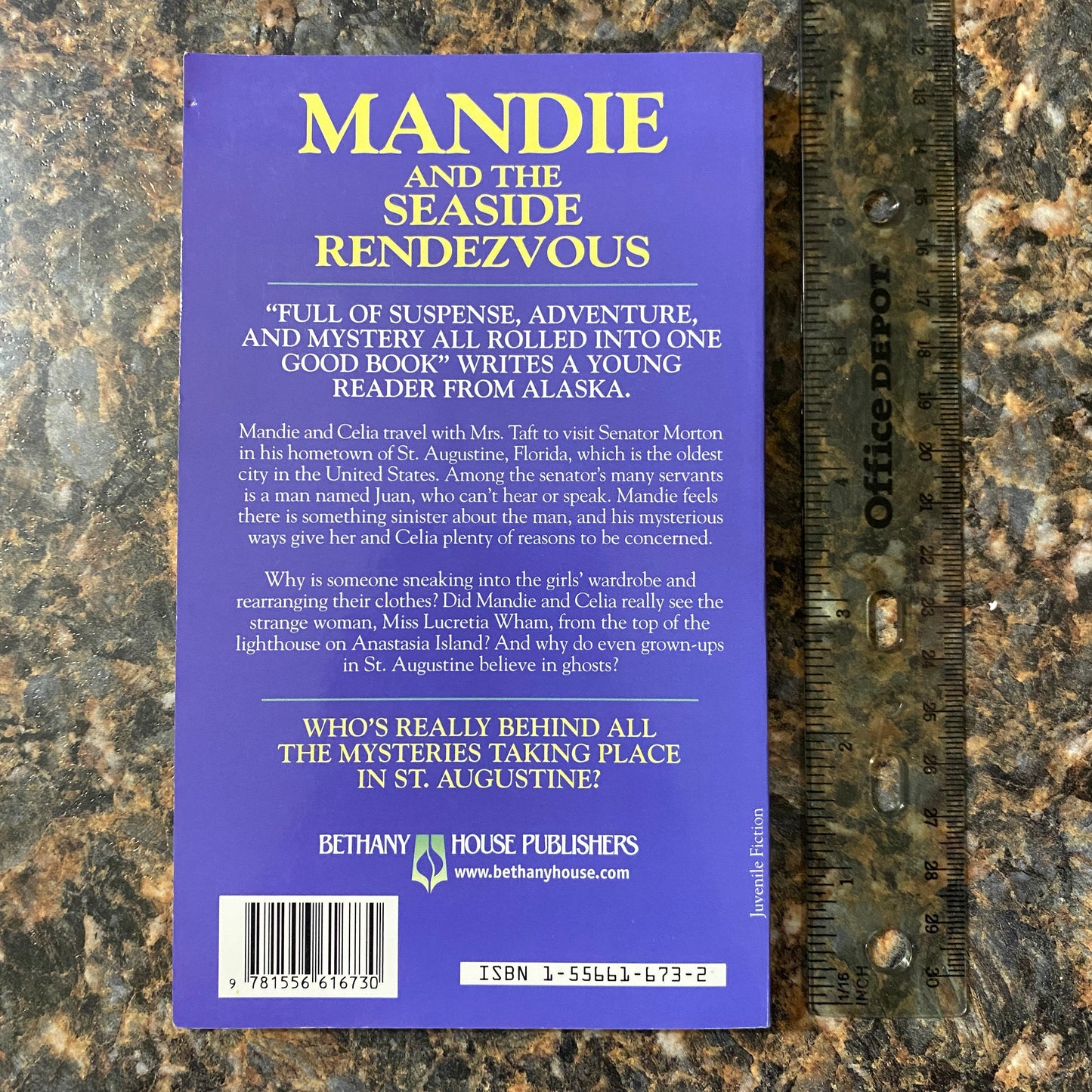 Mandie and the Seaside Rendezvous