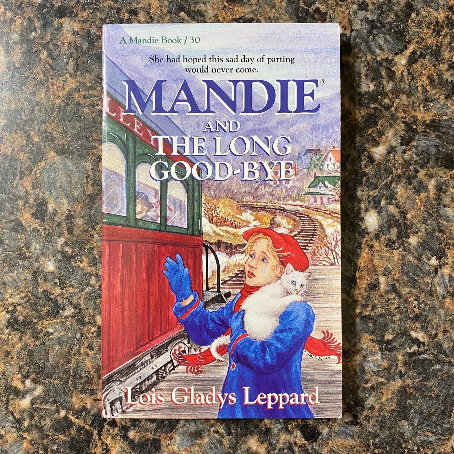 Mandie and the Long Goodbye