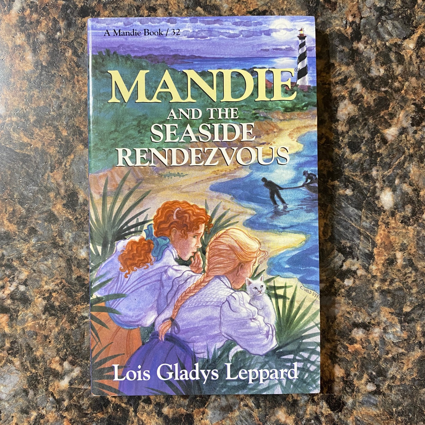 Mandie and the Seaside Rendezvous