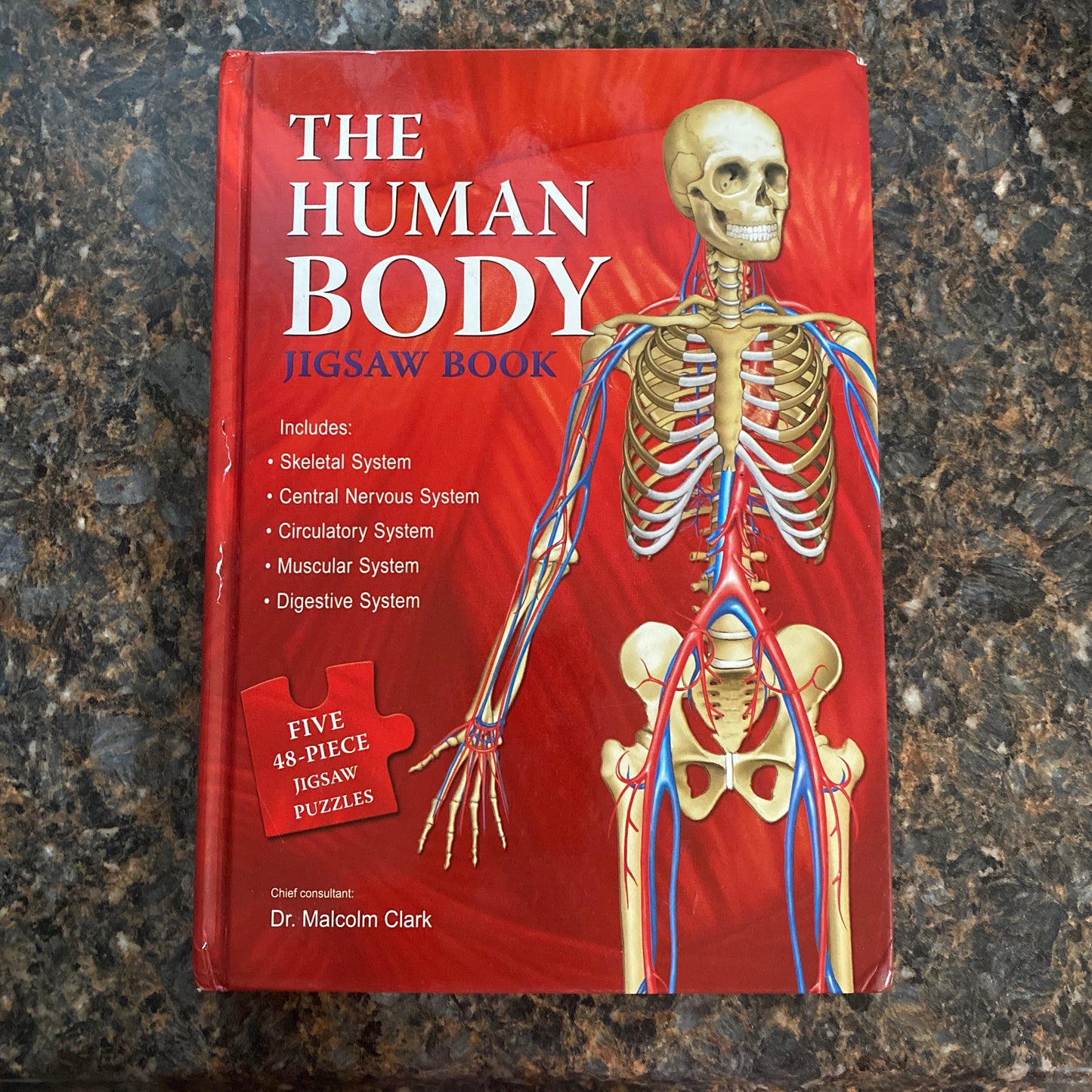 The Human Body Jigsaw Puzzle